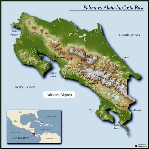 COSTA RICAN PALMARES Fresh Roasted Coffee -Whole Bean- 1lb or 4oz sample bag